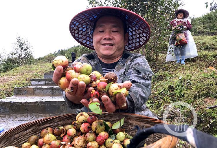 酉阳县车田乡喜讯连连，共谱新篇