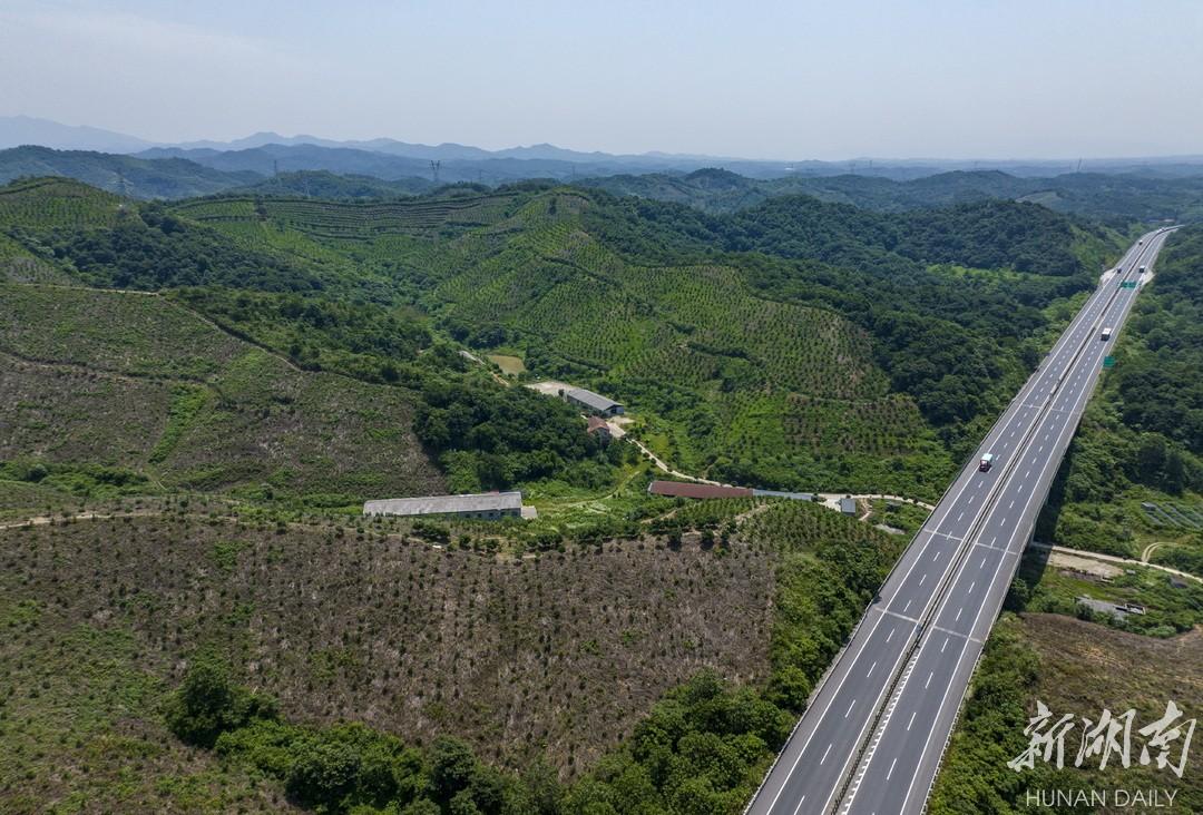 焕新乡村发展蓝图，共绘美好田园新画卷