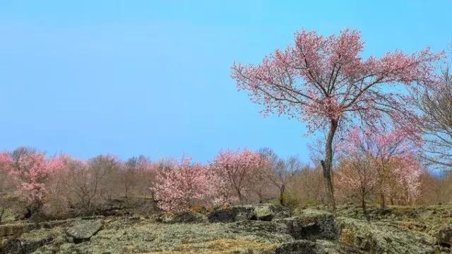 牡丹江招聘盛宴：新机遇，新起点，邀您共赴美好前程！