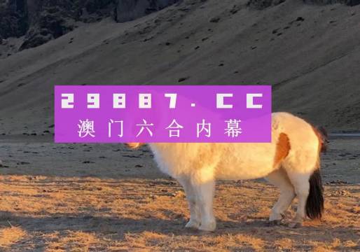 澳门内部最准资料澳门｜澳门最权威内部资料_探索与分享的价值