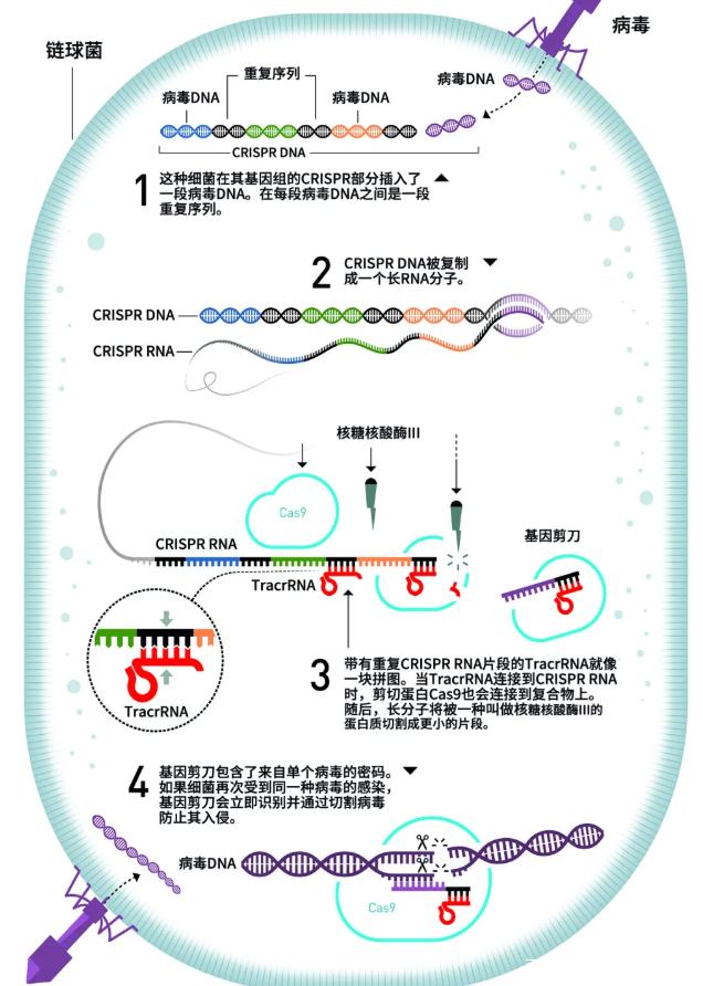 2025年1月19日 第2页