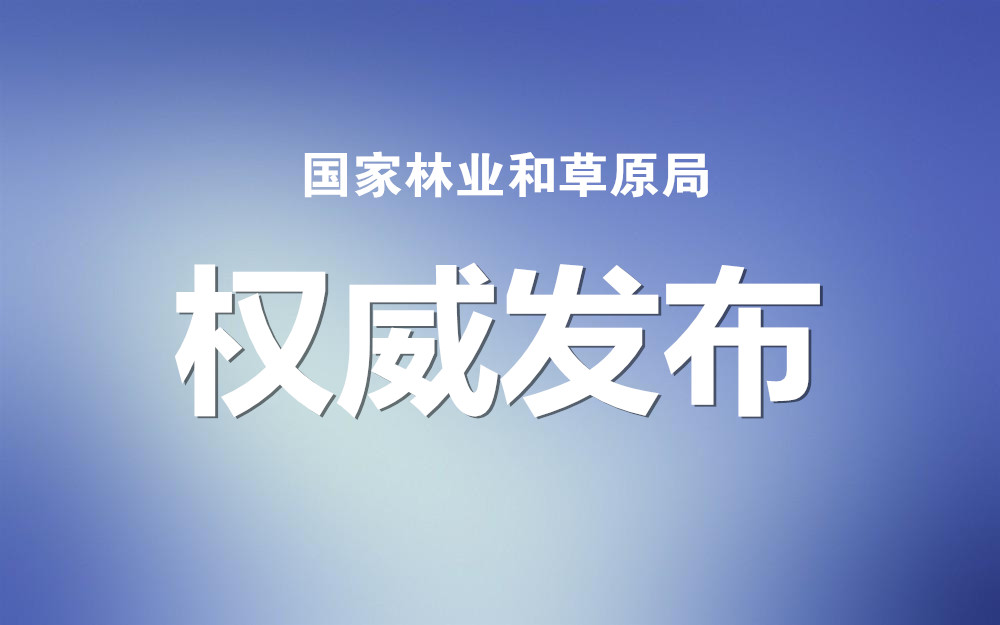 最新动态：国有林业改革大动作，权威资讯速览！