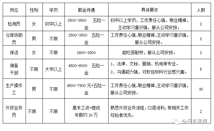 2025年1月30日 第19页