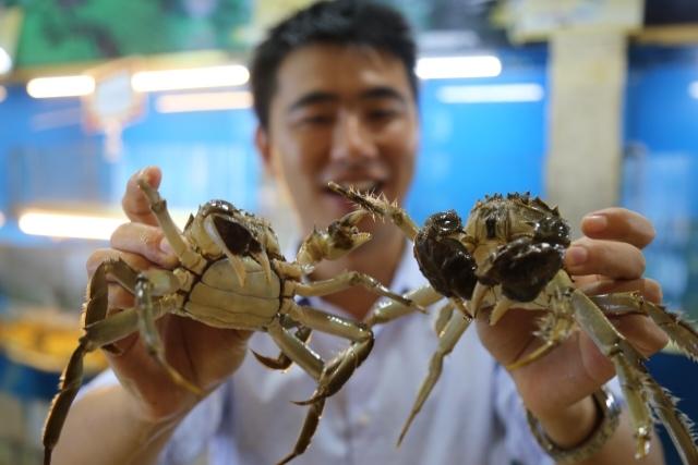 “太湖县最新职位招揽，速来抢鲜岗位！”