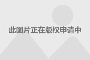 2025年全新发布——国产途观旗舰版首曝高清美图赏析